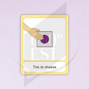 Pictogramme Tirer la chasse