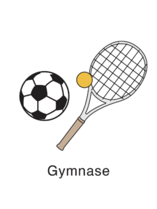 gymnase