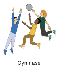 gymnase2